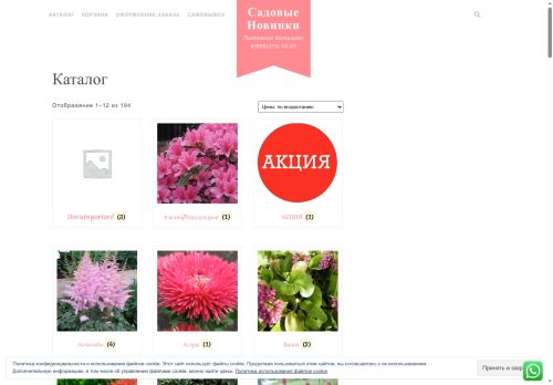 xn--80aeaggtapycfd6a8k.xn--p1ai capture - 2025-05-29 00:48:14