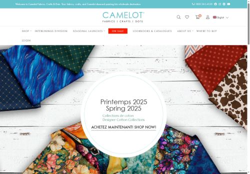 camelotdotz.com capture - 2025-05-29 10:44:46