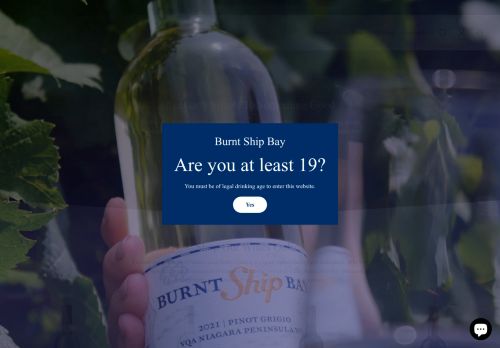 burntshipbay.com capture - 2025-05-29 13:46:52