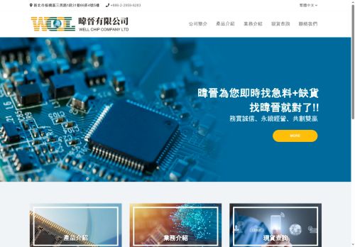 well-chip.com capture - 2025-05-29 22:51:18