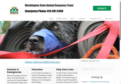 wasart.org capture - 2025-05-29 23:01:49