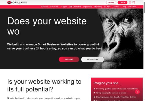 gorillahub.net capture - 2025-05-29 23:34:54