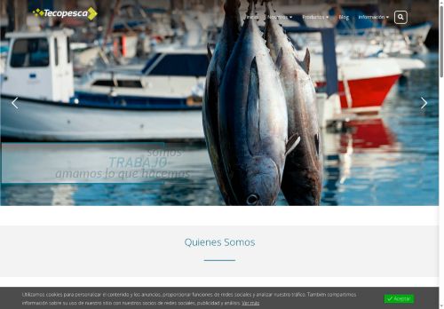 tecopesca.com capture - 2025-05-30 01:55:12