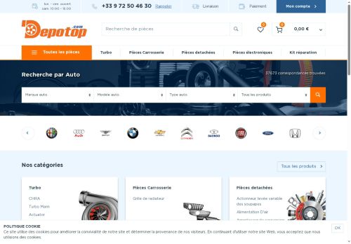 depotop.com capture - 2025-05-30 03:40:31