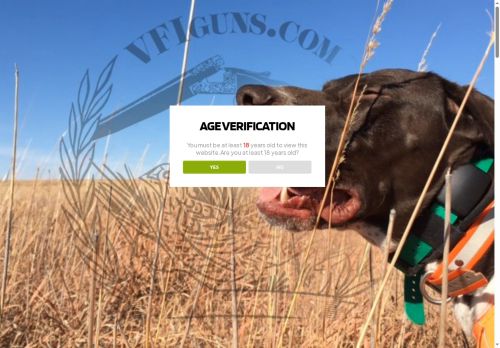 vfiguns.com capture - 2025-05-30 06:02:05