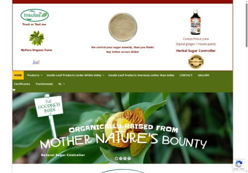 insulinkeerai.com capture - 2025-05-30 06:23:30