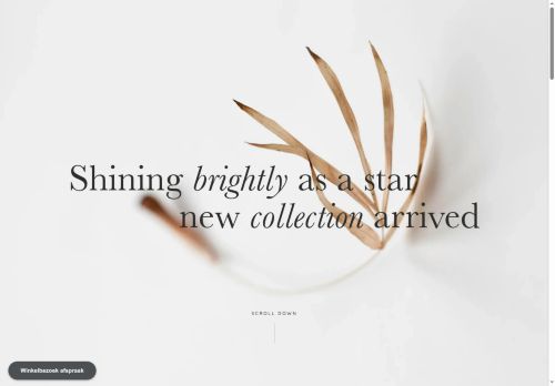 letoile.store capture - 2025-05-30 08:54:39