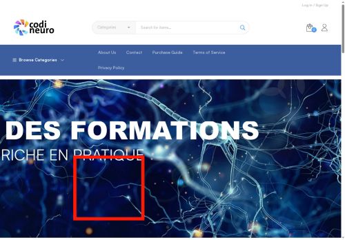 codineuro.com capture - 2025-05-30 12:55:10