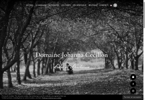 domainejohannacecillon.com capture - 2025-05-30 14:15:13