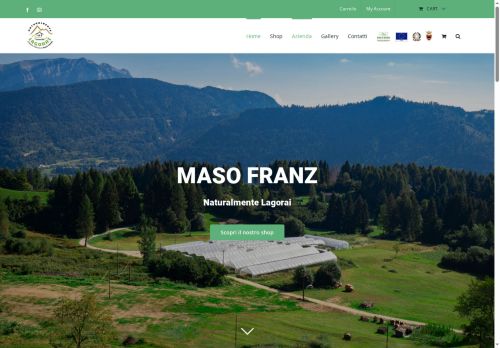 masofranz.com capture - 2025-05-30 16:04:35