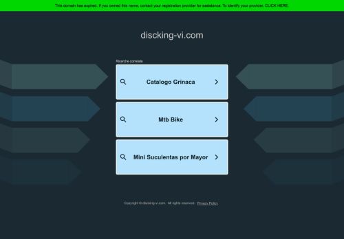 discking-vi.com capture - 2025-05-30 19:39:47