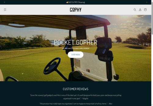 gophy.com capture - 2025-05-30 20:08:32