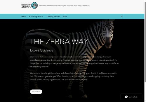 Accounting Zebra capture - 2025-05-30 20:46:52