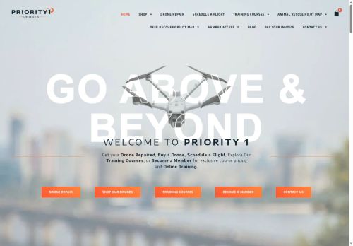 Priority 1 Drones capture - 2025-05-30 20:57:28