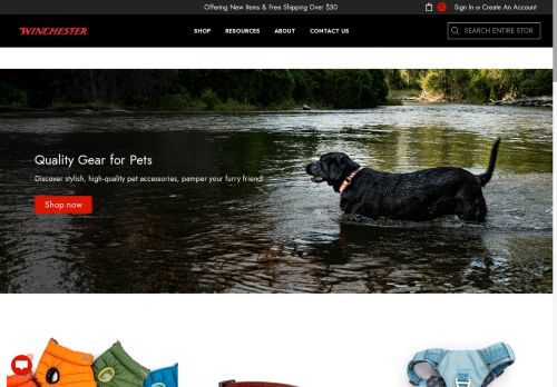 World of Winchester capture - 2025-05-30 20:59:29