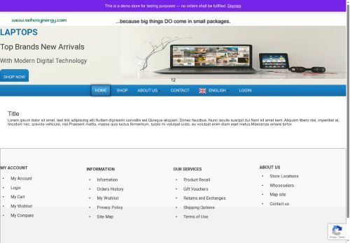 sohosynergy.com capture - 2025-05-30 23:41:50