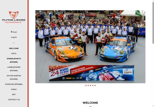 flyinglizardstore.com capture - 2025-05-31 00:43:42