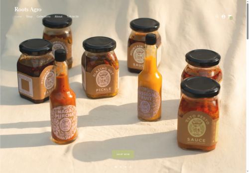 shoprootsagro.com capture - 2025-05-31 01:42:58