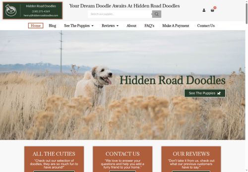 hiddenroaddoodles.com capture - 2025-05-31 06:09:06