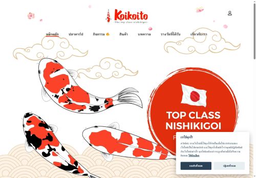koikoito.com capture - 2025-05-31 07:05:32