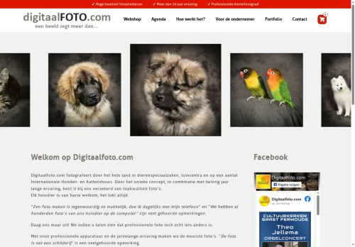 digitaalfoto.com capture - 2025-05-31 12:11:02