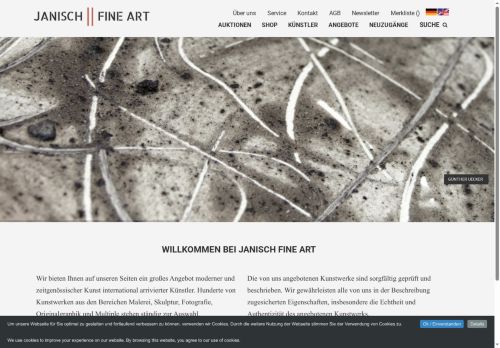 janischfineart.com capture - 2025-05-31 12:56:52