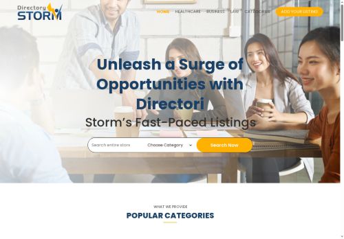 directoristorm.com capture - 2025-05-31 14:22:23