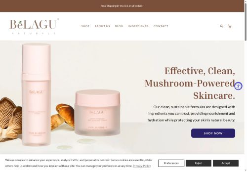 BeLagu capture - 2025-05-31 16:01:53