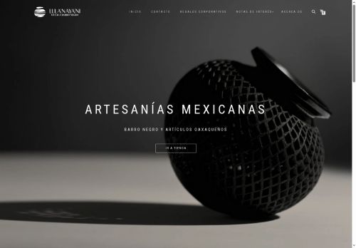 oaxacabarronegro.com capture - 2025-05-31 17:00:17