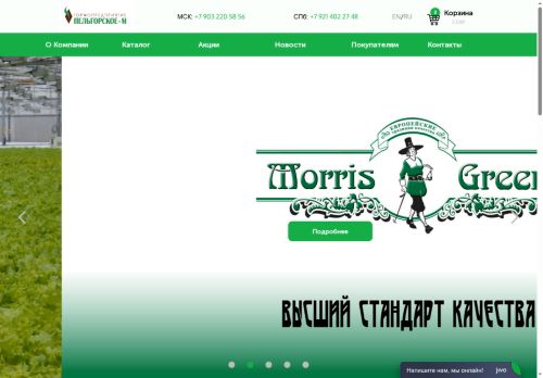 pelgorskoe.ru capture - 2025-05-31 19:02:29