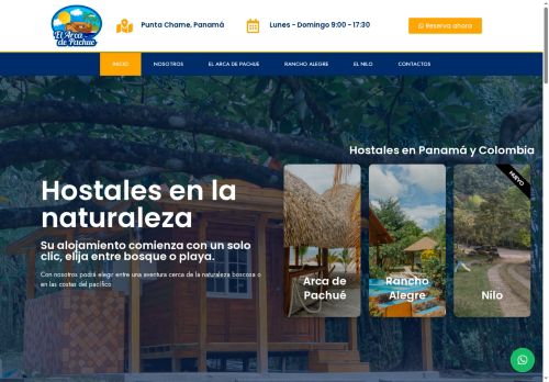 pachue.net capture - 2025-06-01 00:32:20