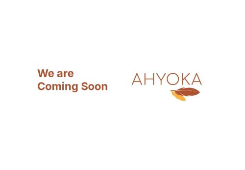 ahyoka-home.com capture - 2025-06-01 01:02:28