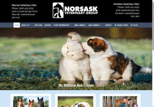 norsaskvetgroup.com capture - 2025-06-01 01:06:24