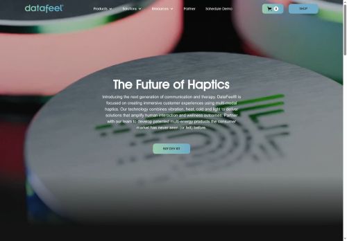 datafeel.com capture - 2025-06-01 05:02:25