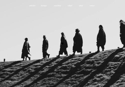 antsxants.com capture - 2025-06-01 05:03:28