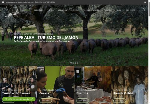 turismodeljamon.com capture - 2025-06-01 10:55:29