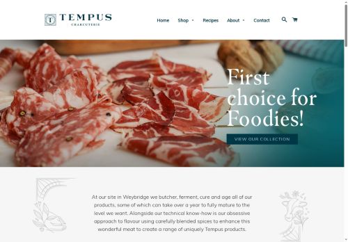 tempusfoods.com capture - 2025-06-01 11:22:28