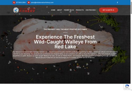 redlakewalleye.com capture - 2025-06-01 13:25:31