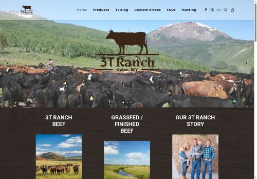 3tranch.com capture - 2025-06-01 17:37:13