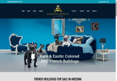majesticbluefrenchbulldog.com capture - 2025-06-01 17:53:08