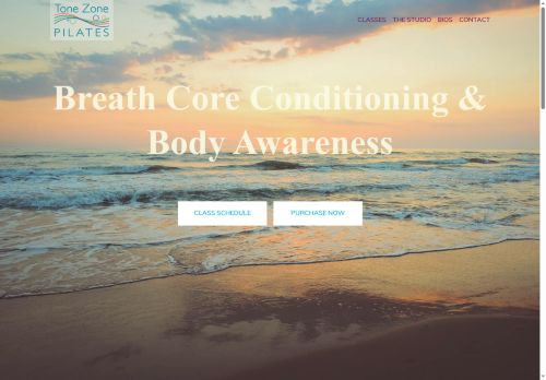 tonezonepilates.com capture - 2025-06-01 18:41:22