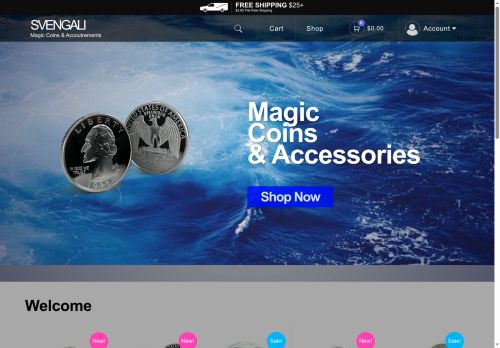 svengalis.com capture - 2025-06-01 20:03:35