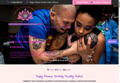 motherbabysupport.net capture - 2025-06-01 20:32:10