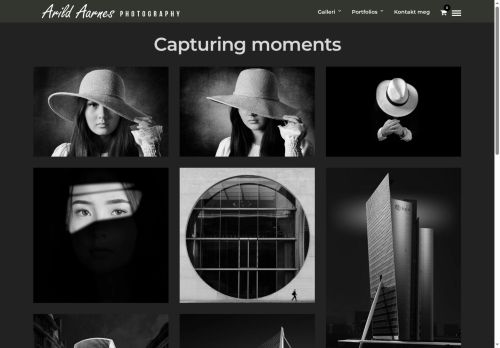 aarnes.biz capture - 2025-06-02 04:23:13