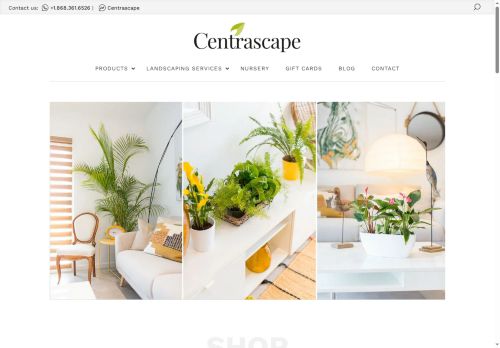 centrascape.com capture - 2025-06-02 04:46:05