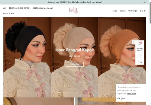 leelither.com capture - 2025-06-02 05:28:15