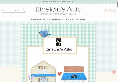 shopeinsteinsattic.com capture - 2025-06-02 07:23:07