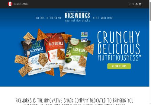 wholesome-goodness.com capture - 2025-06-02 08:49:19