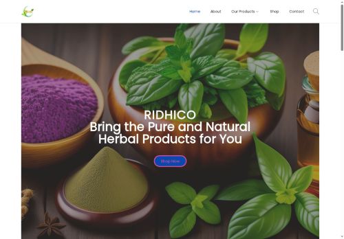 ridhico.com capture - 2025-06-02 09:57:01
