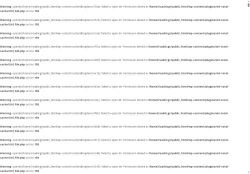 sadricgroup.com capture - 2025-06-02 16:10:56